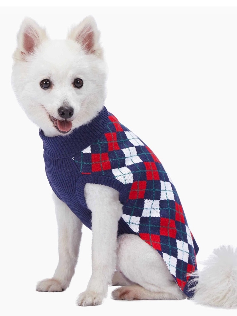 Blueberry Pet Chic Argyle All Over Dog Sweater